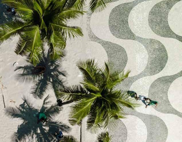 {{brizy_dc_image_alt imageSrc=